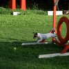 agility 2011-08
